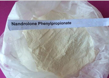 Durabolin 백색 분말 Nandrolone 스테로이드/Nandrolone Phenylpropionate CAS 62-90-8