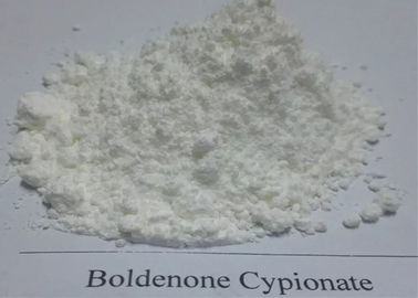백색 보디 빌딩 익지않는 분말 Boldenone 스테로이드/근육 건물을 위한 Boldenone Cypionate CAS 106505-90-2