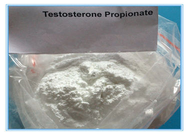 테스토스테론 분말 CAS 57-85-2 시험 Propinoate 주입 스테로이드